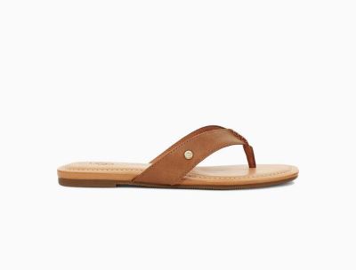 UGG Tuolumne Slides for Womens - Brown India
